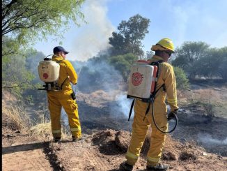 Bomberos Municipales de Aguascalientes y CONAFOR unifican esfuerzos en el combate de incendios