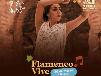🍷 La 9na Feria del Vino en Aguascalientes🍇