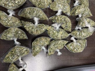 Policías Estatales aseguran paquete con sustancia presuntamente ilícita