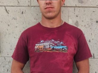 Policías Estatales detienen a una persona por violencia familiar