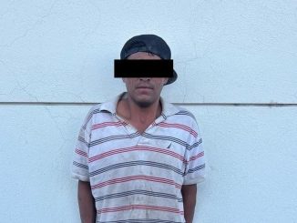 Elementos de la Policía Rosa detienen a una persona por violencia familiar