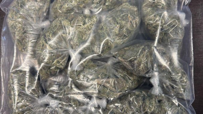Policía Estatal asegura paquete con droga