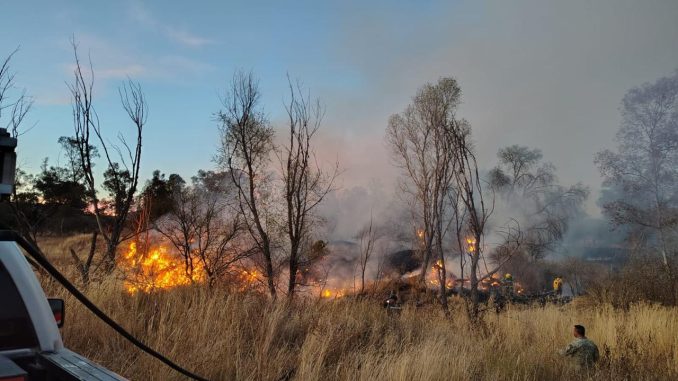 Gobierno del Estado invita a prevenir y reportar incendios forestales