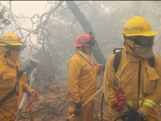 Bomberos del Municipio de Aguascalientes participaron en el combate del incendio forestal en la Sierra de Tepechitlán