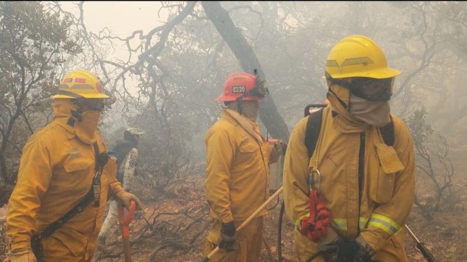 Bomberos del Municipio de Aguascalientes participaron en el combate del incendio forestal en la Sierra de Tepechitlán