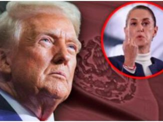 México 'no descarta' aranceles recíprocos a EU pero prefiere buscar 'un acuerdo previo' 