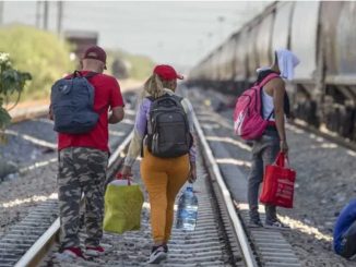 Comité de la ONU publicará el 15 de abril informe y recomendaciones a México sobre migrantes