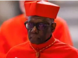 Quién es Robert Sarah, opositor de Francisco y aspirante a ser el primer papa negro