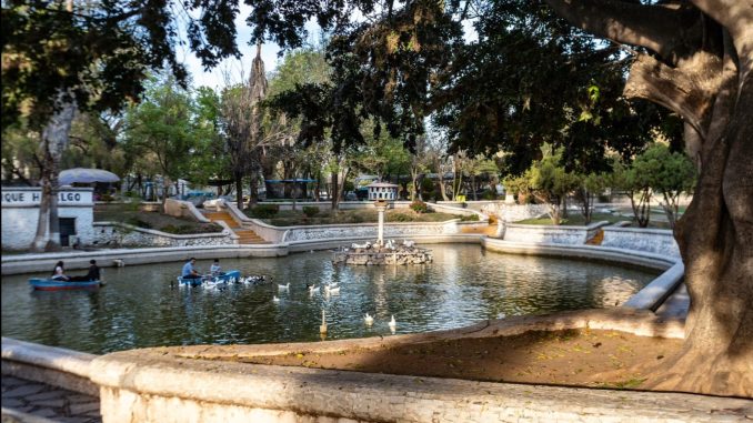 Municipio de Aguascalientes invita a celebrar el Día de las y los Niños" y a conocer a una pareja de capibaras en el parque Hidalgo