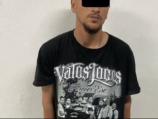 Policías Estatales detienen a una persona por violencia familiar