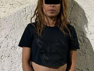 Policías Estatales detienen a una persona señalada por delitos contra la Salud