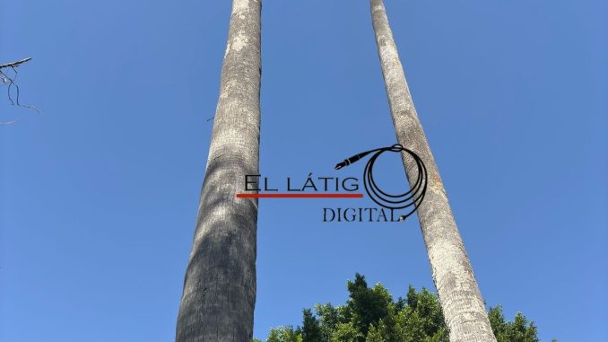 Buen Día...!!