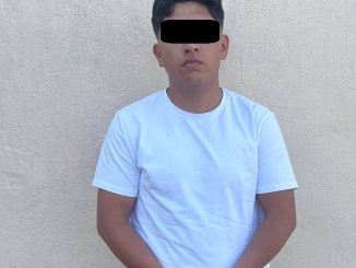 Policía Estatal detiene a una persona por uso de permiso falso