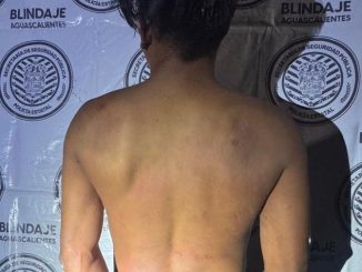 Policía Metropolitana detiene a una persona por violencia familiar y lesiones a Oficiales de Policía