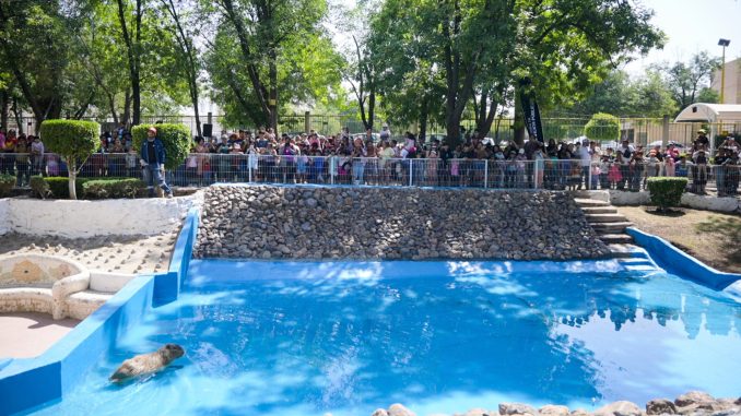 Un Oasis en el Corazón de Aguascalientes: el Parque Hidalgo