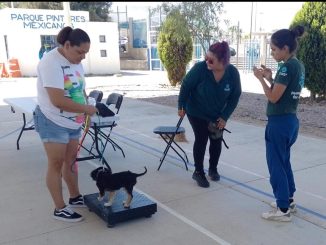 Anuncia Municipio de Aguascalientes nueva Jornada de la Clínica Veterinaria Móvil