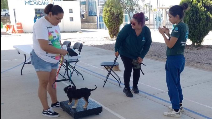 Anuncia Municipio de Aguascalientes nueva Jornada de la Clínica Veterinaria Móvil