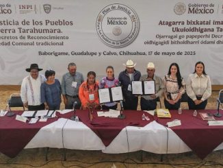 Sheinbaum  restituye más de 820 hectáreas a los pueblos Ódami y Rarámuri de la Sierra Tarahumara