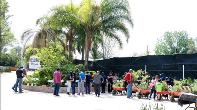 Inicia Vivero Municipal donación de plantas y árboles 2025