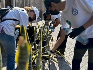 MIAA realizará la Segunda edición de "Colillatón" en el Día Mundial sin Tabaco