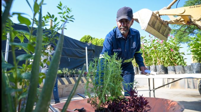 Exitosa Jornada de entrega de plantas ornamentales y árboles en el vivero municipal