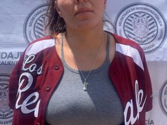 Policía Estatal y Municipal de Calvillo, detienen a persona por posesión de droga