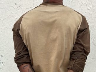 Elementos de la Policía Estatal detienen a una persona por robo de vehículo