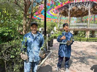 Municipio de Aguascalientes reforesta el Jardín de San Marcos con 300 truenos