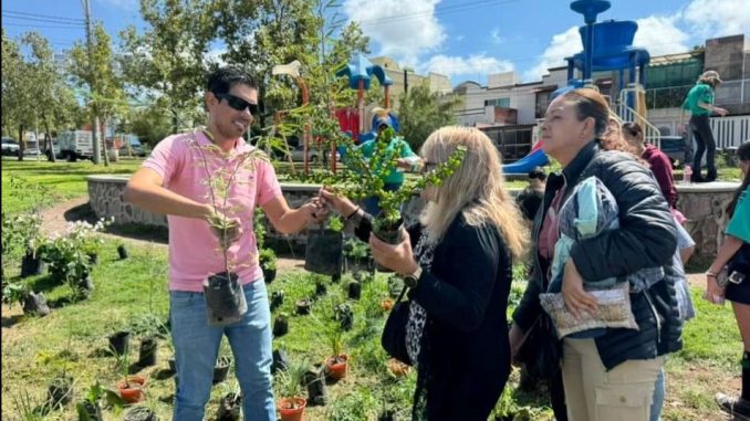 Realizarán reforestación comunitaria en la Línea Verde
