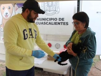 Llevarán el Quirófano veterinario móvil al parque de La Barranca