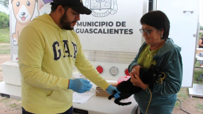 Llevarán el Quirófano veterinario móvil al parque de La Barranca