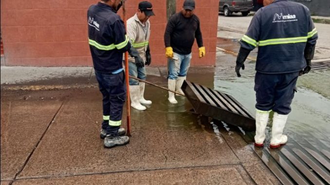Continúa MIAA con la limpieza y desazolve en drenajes