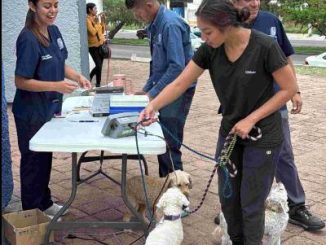 El Quirófano Veterinario Móvil llega a Peñuelas y a la Delegación Pozo Bravo