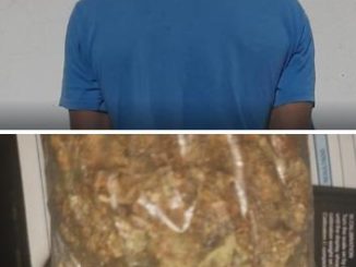 Policías Estatales de Aguascalientes detienen a presunto distribuidor de hierba verde al parecer marihuana