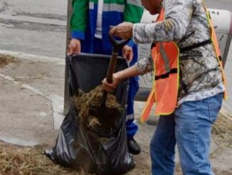 Concluye Municipio limpieza del camellón central de Primer Anillo; continúan con laterales