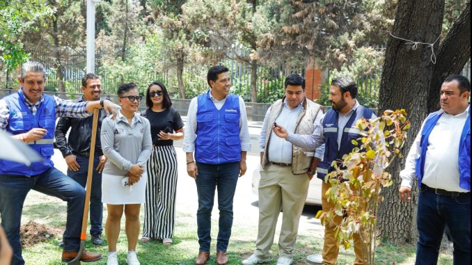 Realiza Municipio de Aguascalientes arborización y rehabilitación del camellón de Prolongación Alameda