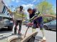 Continúa MIAA con acciones preventivas y de mantenimiento al alcantarillado por temporada de lluvias