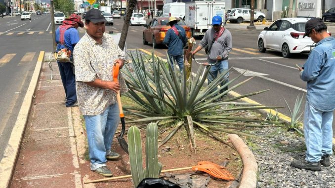Municipio lleva a cabo Operativo de mantenimiento y rehabilitación en Primer Anillo de Circunvalación