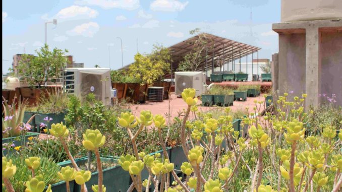 Reconocen al Instituto Municipal de Planeación por prácticas de cuidado ambiental