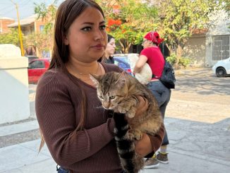 Nuevas fechas para esterilizaciones gratuitas caninas y felinas
