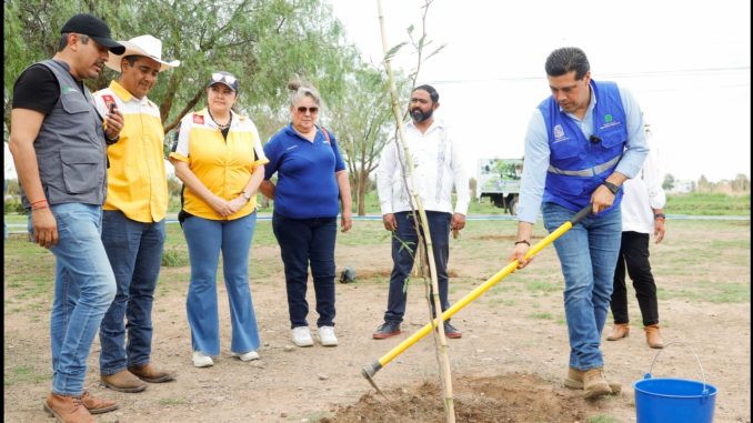 Leo Montañez encabezó Jornada de Arborización en el fraccionamiento de Villa Teresa