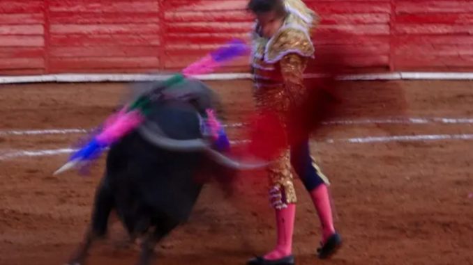 Plaza México se niega a realizar corridas de toros sin violencia