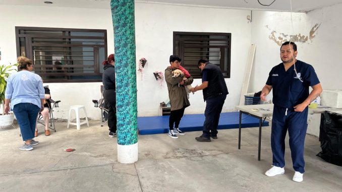 Nueva Jornada de esterilización canina y felina gratuita