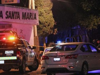 ONG alerta por el asesinato de 199 policías en 2025 en México, uno al día en promedio