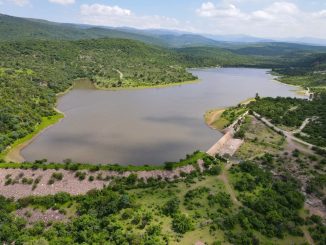 Cosntrucción y rehabilitación de Bordos ha sido clave para la productividad del campo local