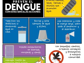Con sencillas Recomendaciones podemos prevenir el Dengue