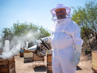Productores de miel reciben equipo y suplementos alimenticios para fortalecer tus actividades