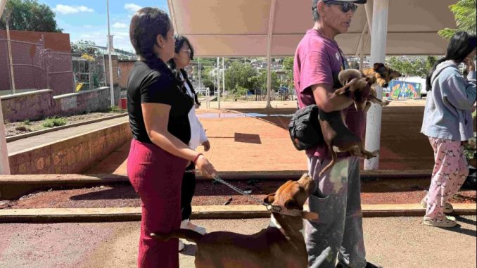 Los fraccionamientos Guadalupe Peralta y Morelos serán sede del Quirófano Veterinario Móvil