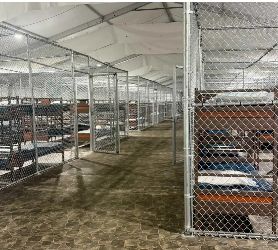 Denuncian que hay 750 migrantes en jaulas en el centro de detención 'Alligator Alcatraz' de Florida