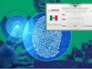 CURP biométrica será un instrumento de control y antesala de reforma electoral: Jorge Alcocer